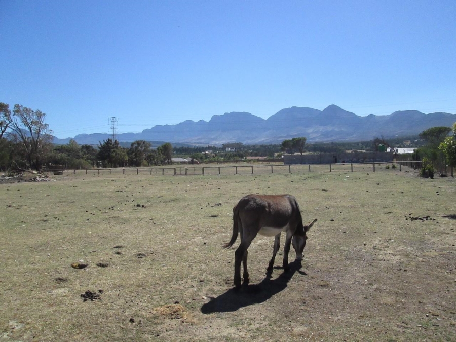 Commercial Property for Sale in Firlands Western Cape